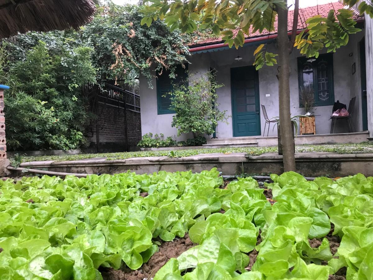 Апартаменты Tam Coc Eco House Ниньбинь Экстерьер фото