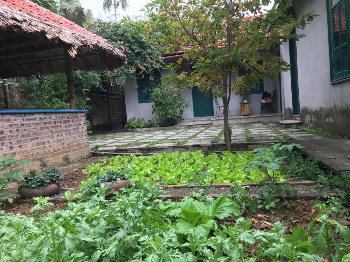 Апартаменты Tam Coc Eco House Ниньбинь Экстерьер фото