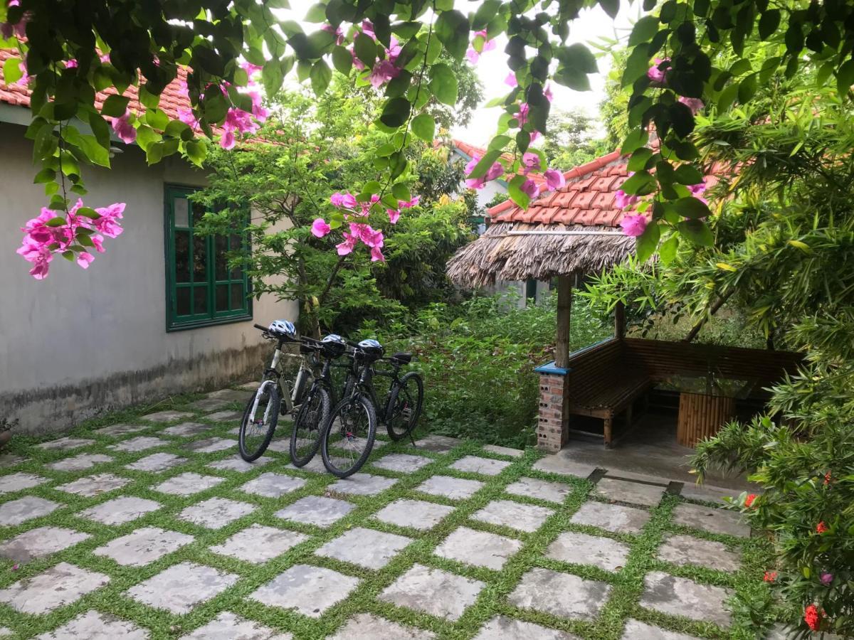 Апартаменты Tam Coc Eco House Ниньбинь Экстерьер фото