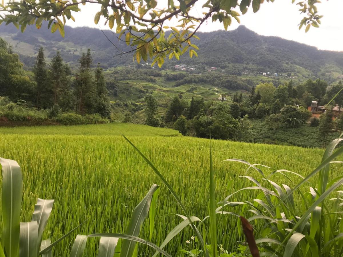 Апартаменты Tam Coc Eco House Ниньбинь Экстерьер фото