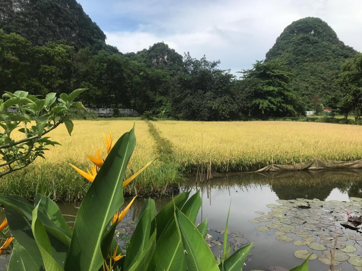 Апартаменты Tam Coc Eco House Ниньбинь Экстерьер фото