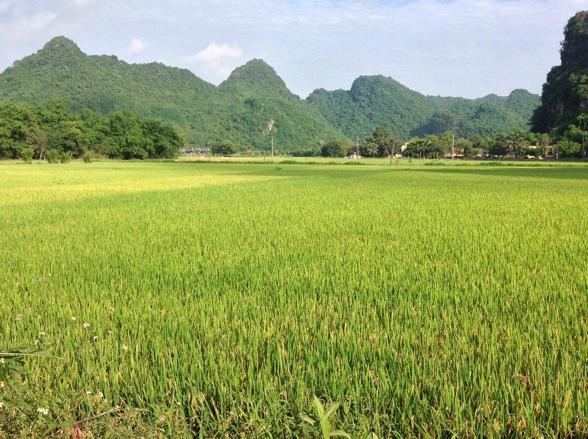 Апартаменты Tam Coc Eco House Ниньбинь Экстерьер фото