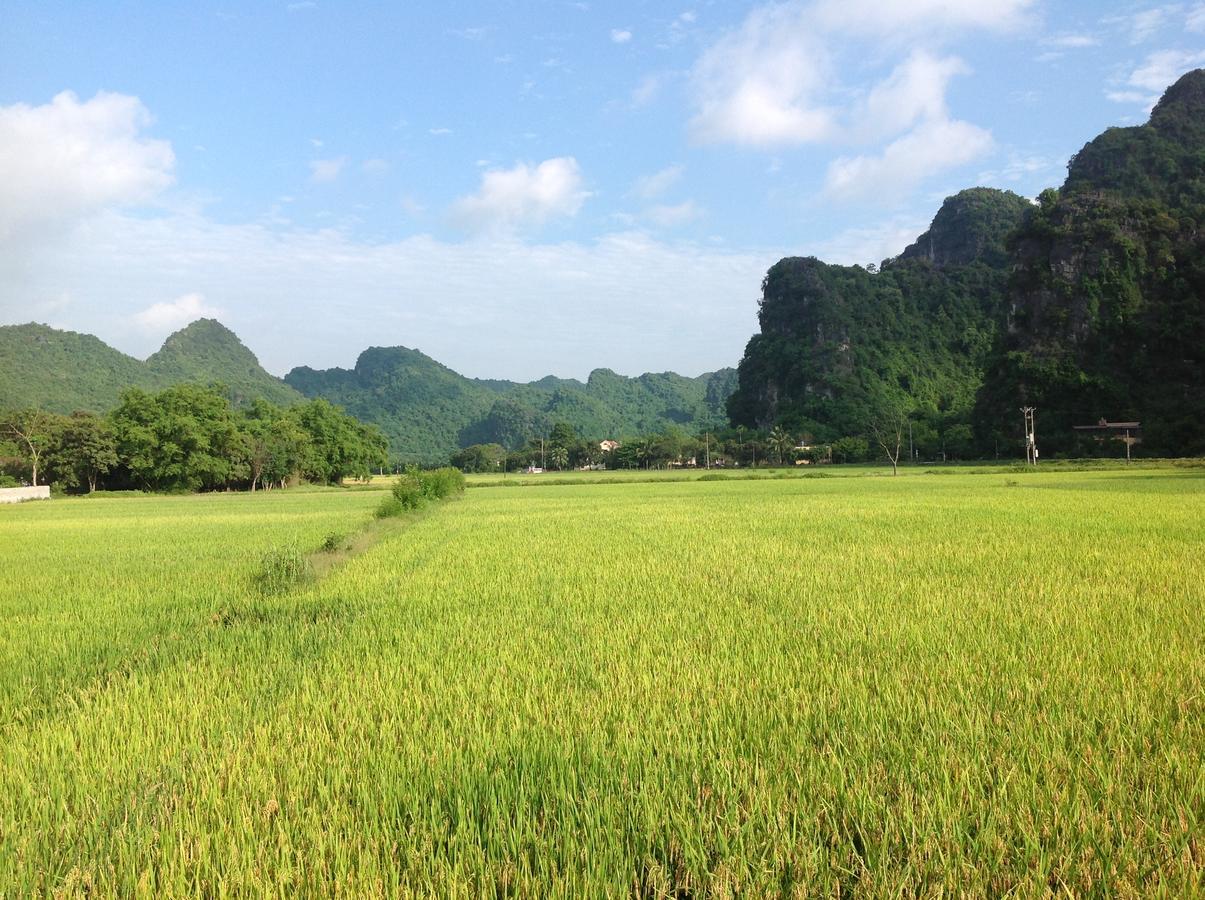 Апартаменты Tam Coc Eco House Ниньбинь Экстерьер фото