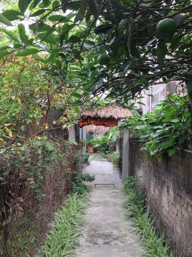 Апартаменты Tam Coc Eco House Ниньбинь Экстерьер фото