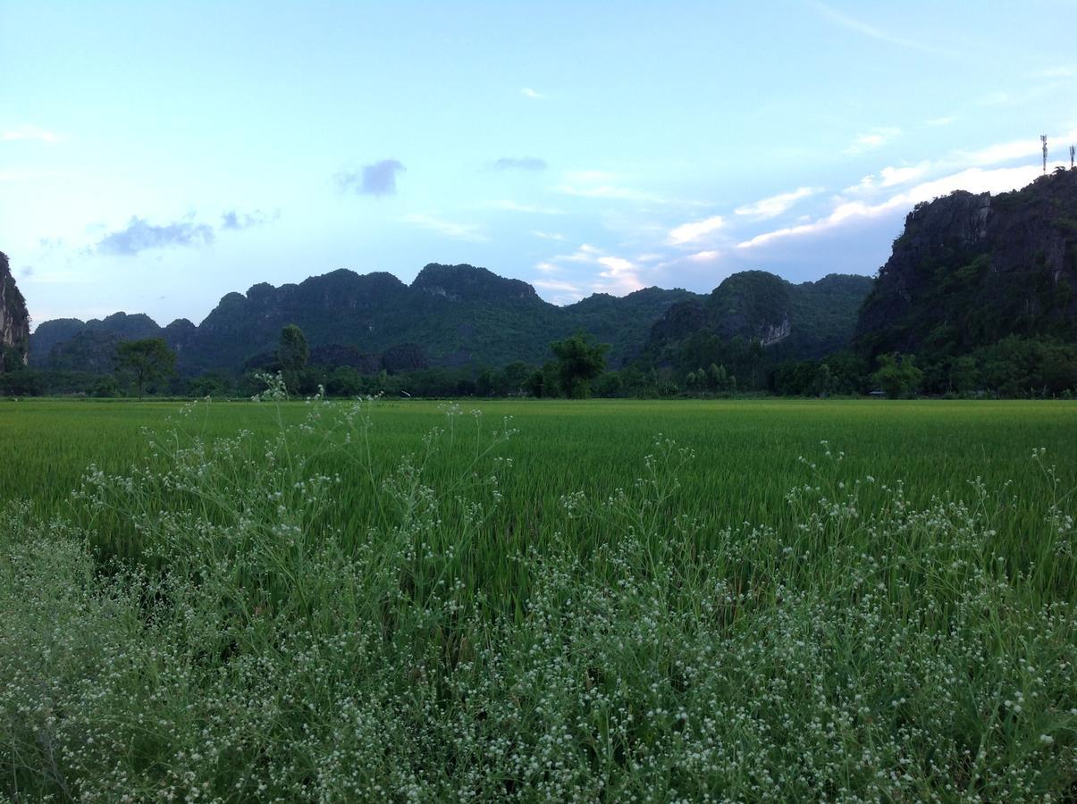 Апартаменты Tam Coc Eco House Ниньбинь Экстерьер фото