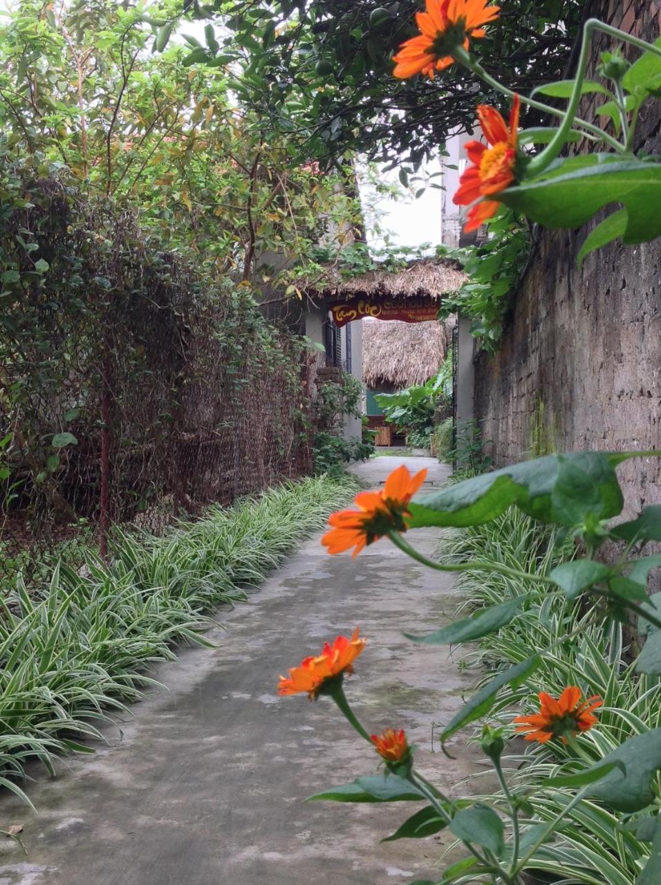 Апартаменты Tam Coc Eco House Ниньбинь Экстерьер фото