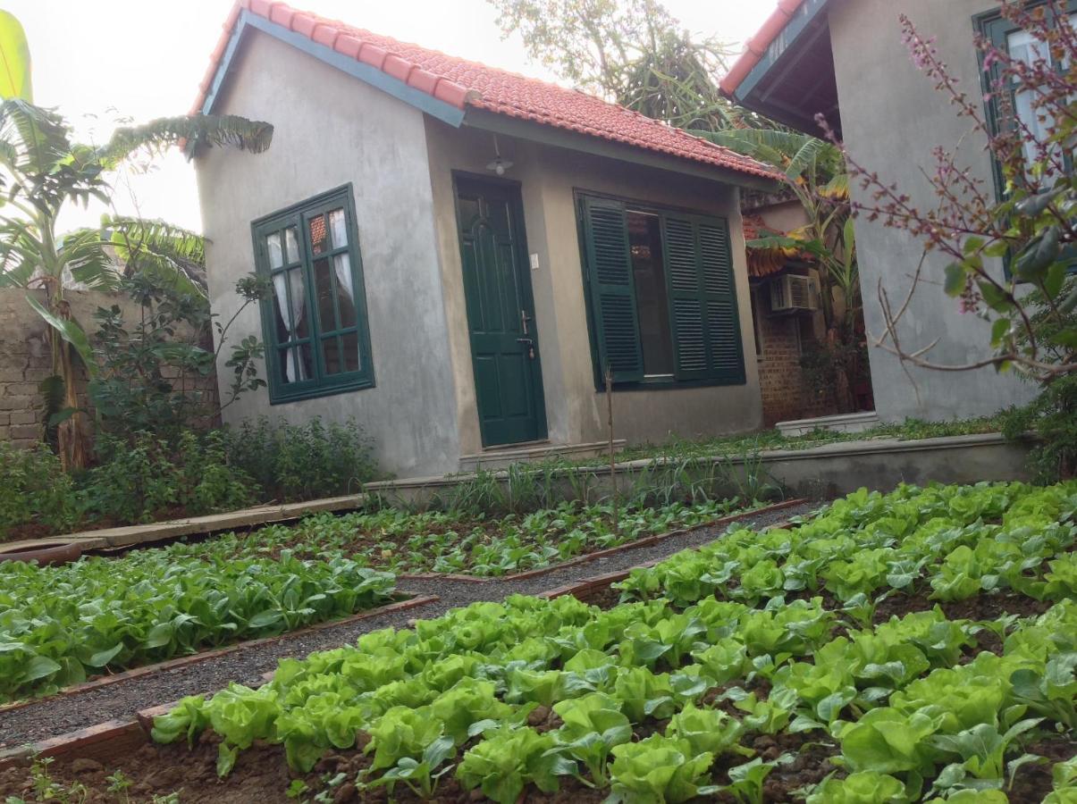 Апартаменты Tam Coc Eco House Ниньбинь Экстерьер фото